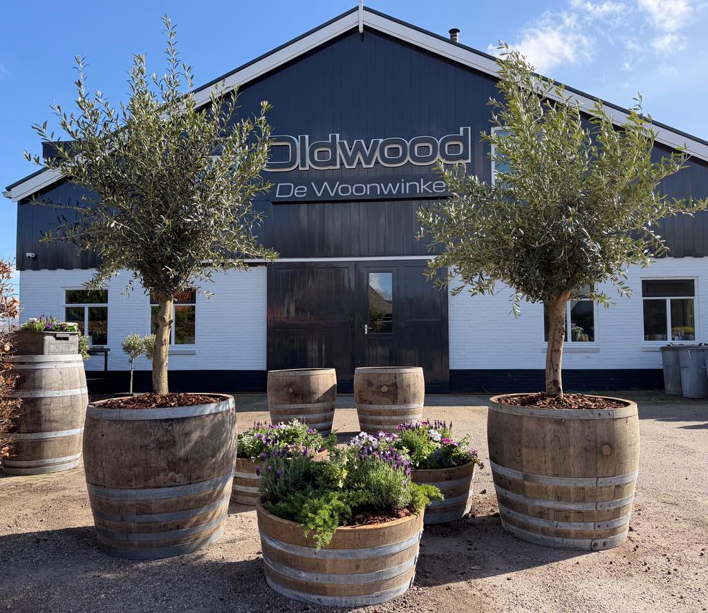 Bloembak | Plantenbak | Half wijnvat | Vijver | Houten kuip, Rond, Ophalen of Verzenden, 60 tot 100 cm, Balkon