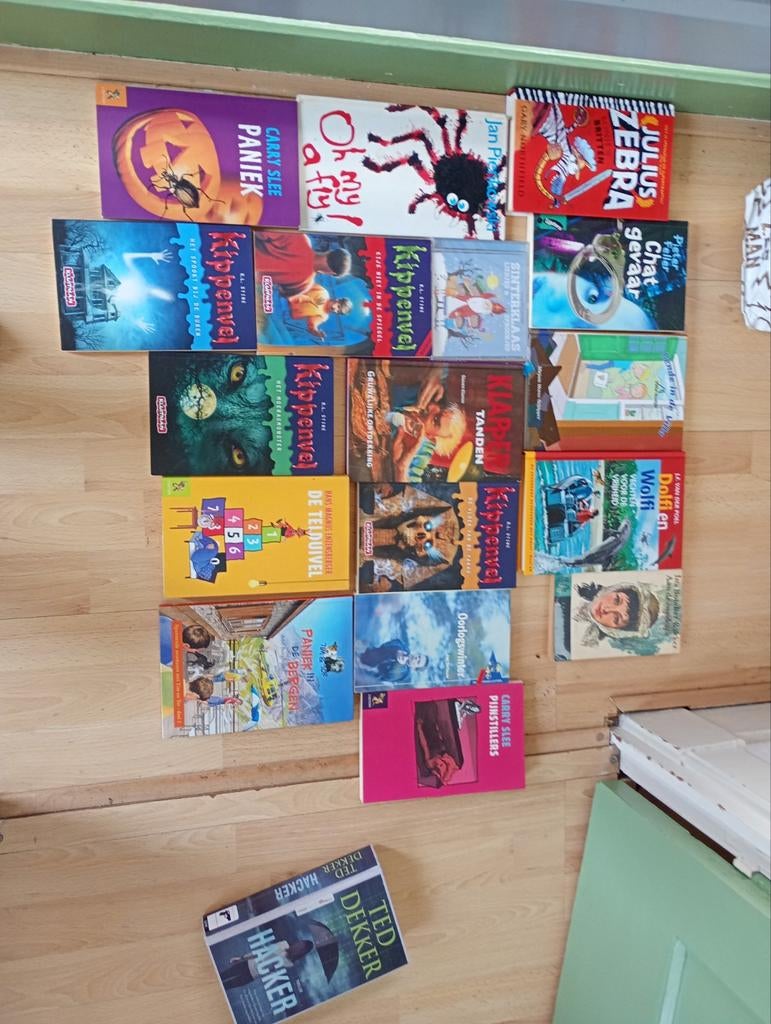 Kippenvel boeken + kinderboeken, Boeken, Ophalen, Gelezen, Fictie algemeen