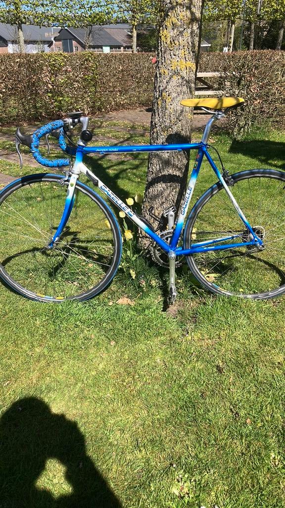 Gazelle Champion Mondial AB-frame, Ophalen, Gebruikt, Gazelle, 53 tot 57 cm