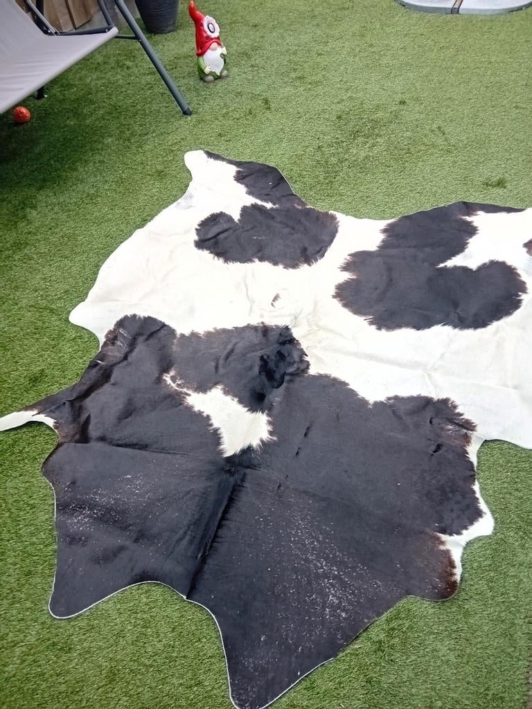 Koeien huid,180x180, Ophalen of Verzenden, Rechthoekig