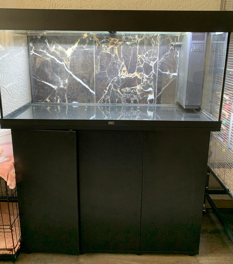 Juwel aquarium Rio 180L compleet met bijbehorende onderkast, Ophalen, Zo goed als nieuw, Leeg aquarium, Juwel