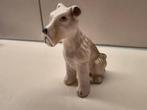 schnautzer beeldje porselein, Ophalen of Verzenden, Zo goed als nieuw, Dier