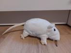 IKEA rat knuffel wit, Ophalen of Verzenden