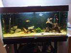 aquarium + toebehoren, Ophalen, Zo goed als nieuw, Leeg aquarium