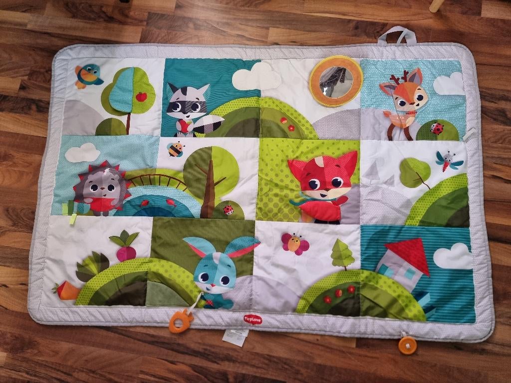 Tiny love speelkleed, Ophalen, Gebruikt