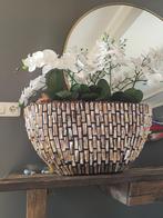 Schelpenvaas met orchideeën, Ophalen, Overige materialen, Overige kleuren, Zo goed als nieuw