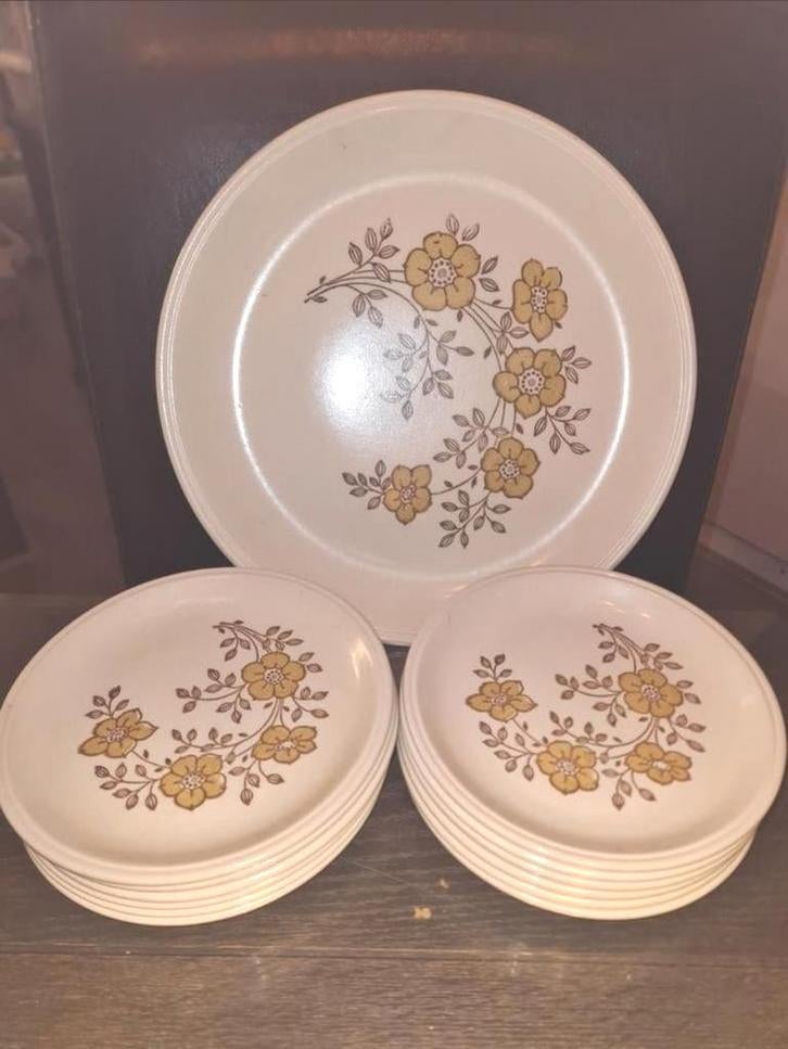 Staffordshire Biltons Gebaksset - 13 Delig, Gebruikt, Ophalen of Verzenden, Bord(en), Overige stijlen