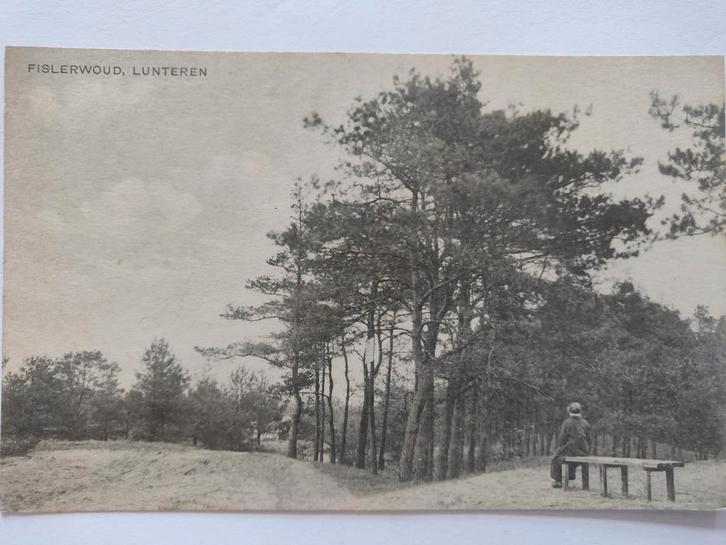 U794 Lunteren, Verzamelen, Ansichtkaarten | Nederland, Gelderland, 1920 tot 1940, Ophalen of Verzenden