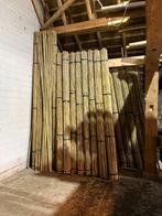 Bonenstokken bamboestok tonkin moestuin plantensteun, Gerard Krale, Nieuw, Ophalen of Verzenden, Info@gkrale.nl
