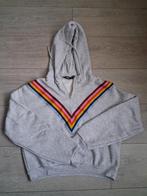 ZGAN crop top hoodie | FB sister | grijs, Kleding | Dames, Ophalen of Verzenden, Zo goed als nieuw, Maat 38/40 (M), Grijs
