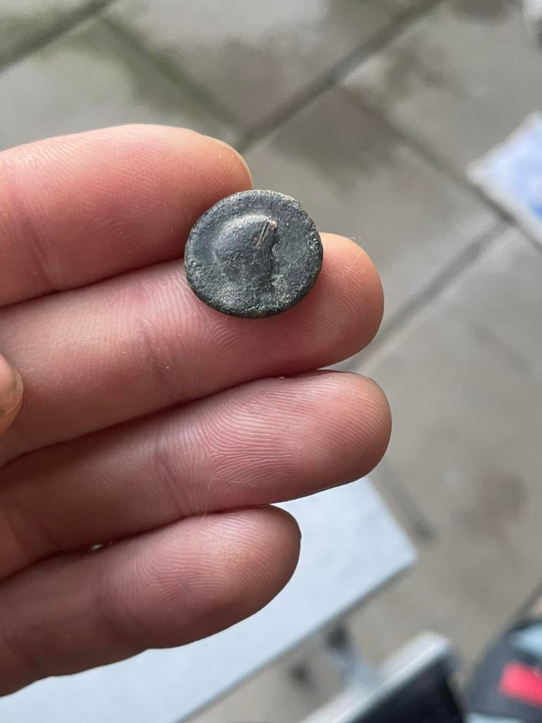 Romeinse AE Semis Brutus/Tiberius oxen bodemvondst munt, Ophalen of Verzenden, Brons