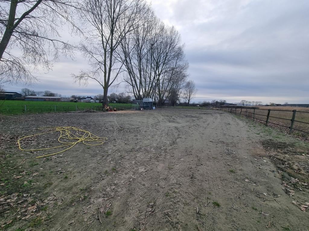 Paardenbak bodem, Weidegang