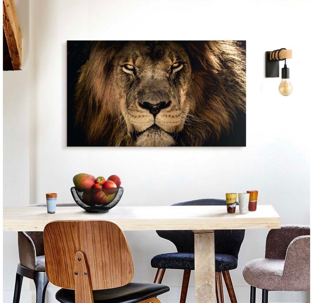 Indrukwekkend Leeuw Schilderij - Reinders, Ophalen, 50 tot 75 cm, Zo goed als nieuw, Schilderij