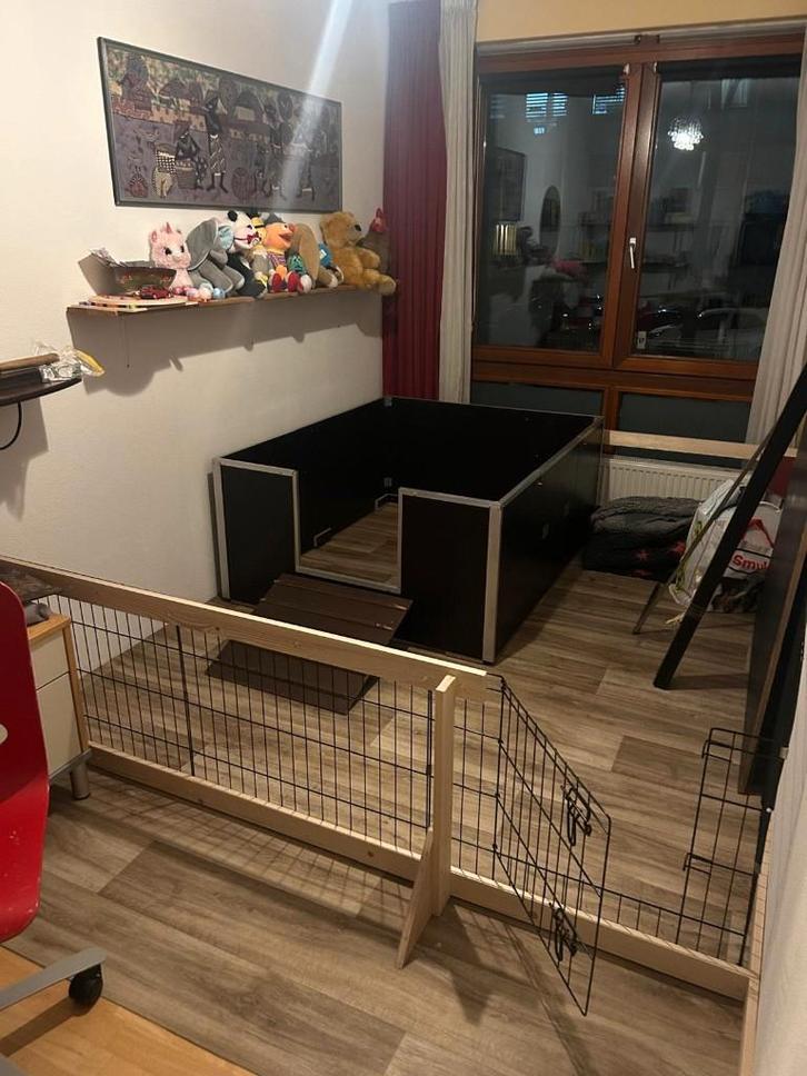 Werpkist hond + uitgebreide puppystarterset, Dieren en Toebehoren, Honden-accessoires, Zo goed als nieuw, Ophalen