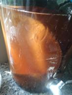 scoby, Ophalen
