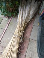 Mooie pampus pluimen bos, Ophalen of Verzenden, Zo goed als nieuw