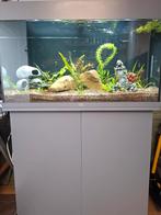 Juwel Rio 125 aquarium grijs, Dieren en Toebehoren, Ophalen, Zo goed als nieuw, Gevuld zoetwateraquarium