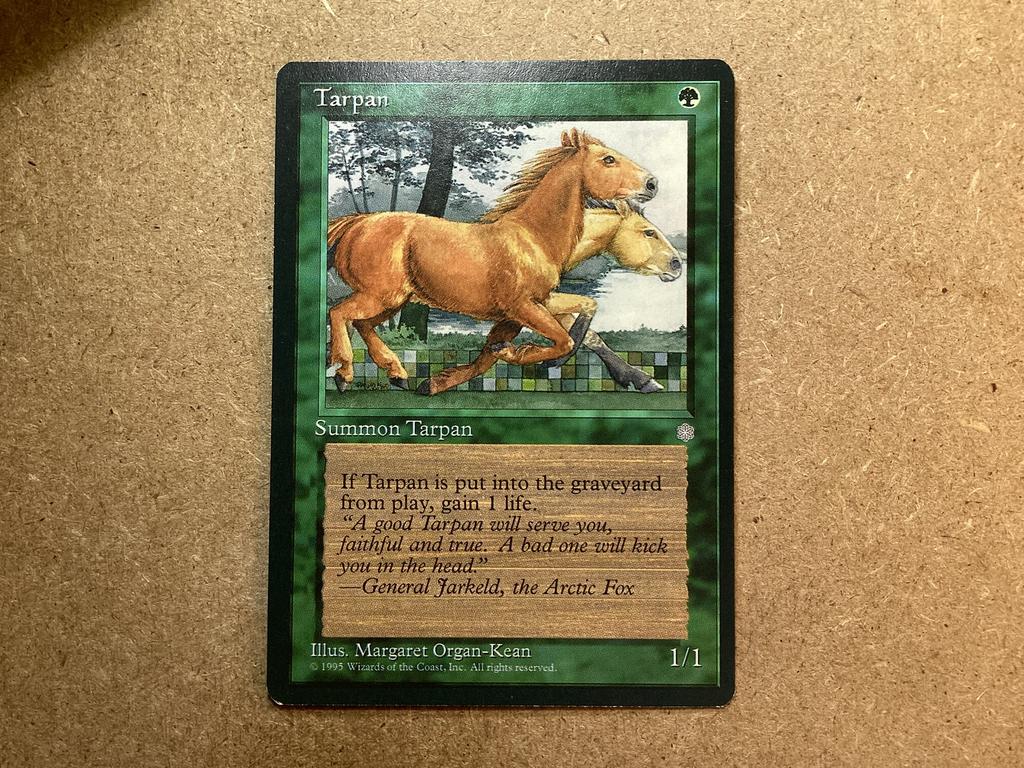 1x Tarpan (Excellent), Ophalen of Verzenden, Zo goed als nieuw, Losse kaart