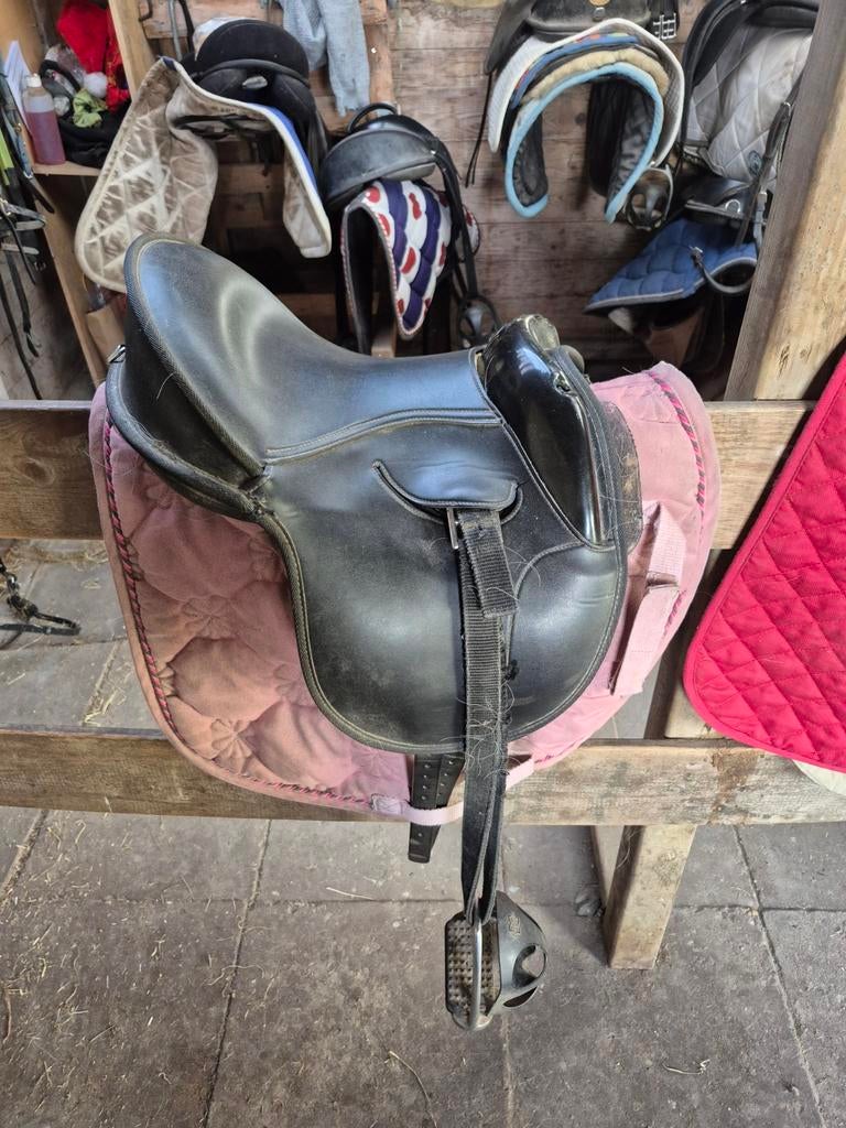 Shetlander spullen, Ophalen of Verzenden, Overige soorten