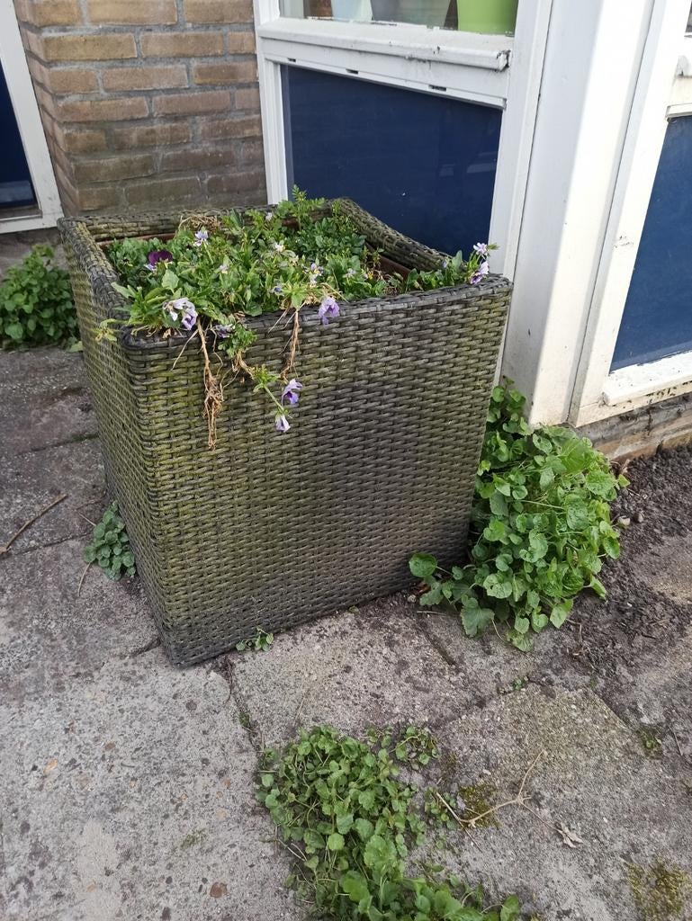 Gratis Bloembak, Ophalen, Vierkant, Kunststof, Minder dan 30 cm