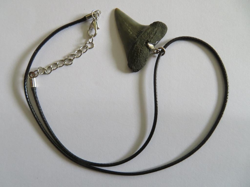 ketting met echte haaientand,23-2,5 milj.jaar, slechts €6,00, Ophalen of Verzenden, Fossiel