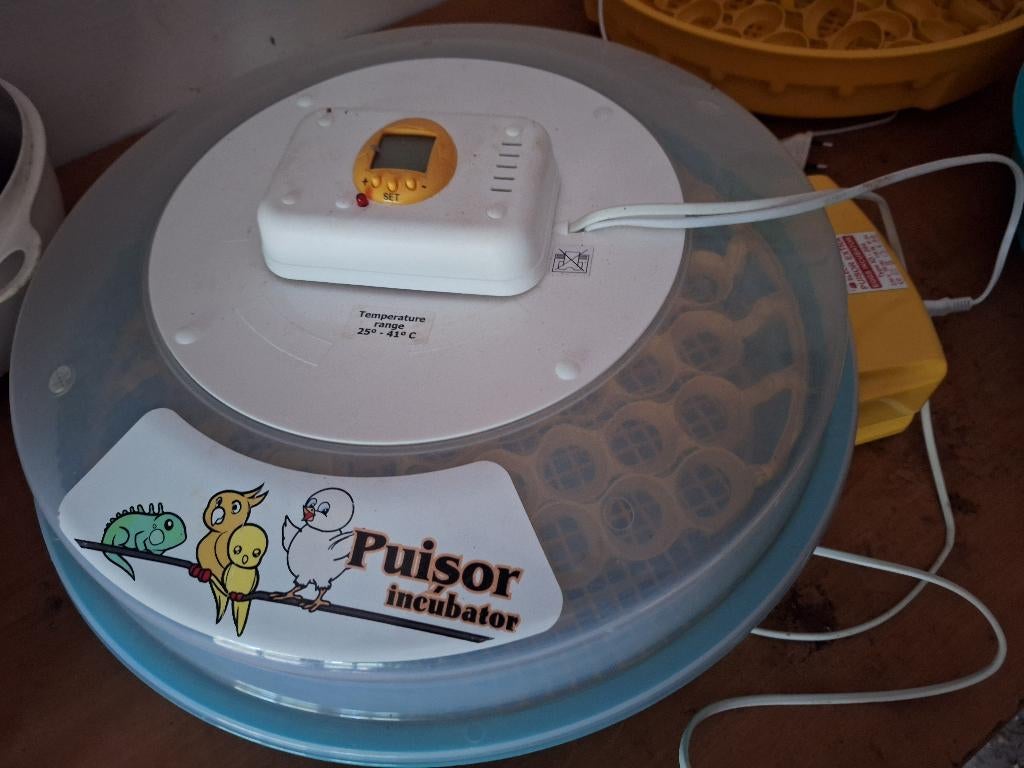 Puisor broedmachine automatisch keersysteem exotic, Ophalen of Verzenden, Zo goed als nieuw, Broedmachine