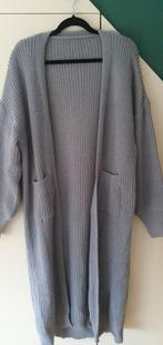 NIEUW GRIJS GROF GEBREID LANG VEST...maat xxl, Kleding | Dames, Grote Maten, Ophalen of Verzenden, Nieuw, Grijs, Trui of Vest