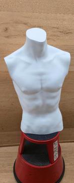 2x Mannelijke torso/ paspop, Hobby en Vrije tijd, Ophalen, Gebruikt, Paspop