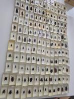 Te koop verzameling met insecten in hars, Verzamelen, Ophalen of Verzenden, Zo goed als nieuw