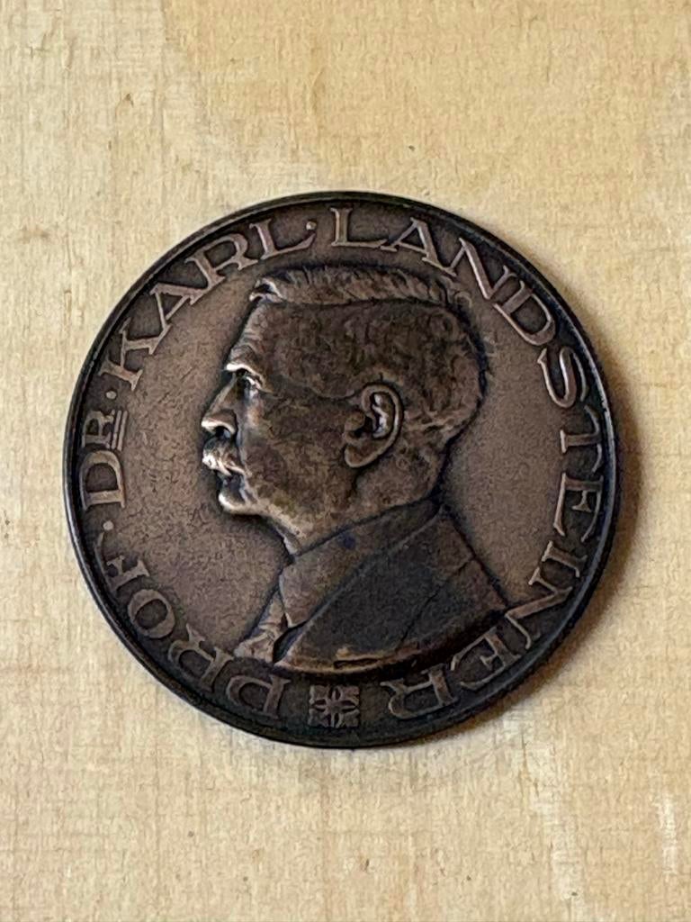 Historische Penning Dr. Karl Landsteiner, Postzegels en Munten, Ophalen of Verzenden, Brons, Buitenland