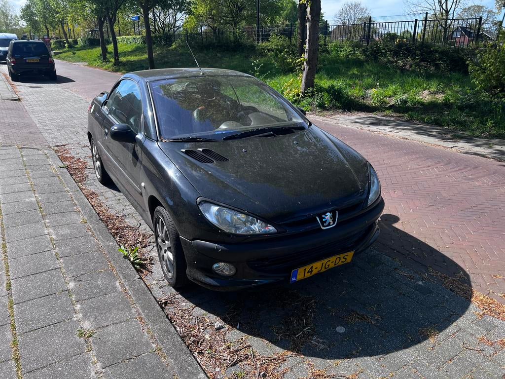 Loop of sloop Peugeot 206CC 2.0 16v, Ophalen
