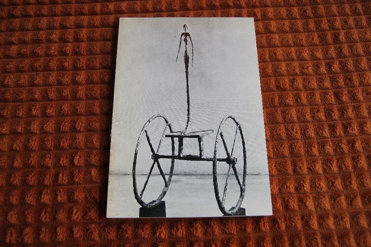 Alberto giacometti 1901-1966, Boeken, Kunst en Cultuur | Beeldend, Gelezen, Ophalen of Verzenden