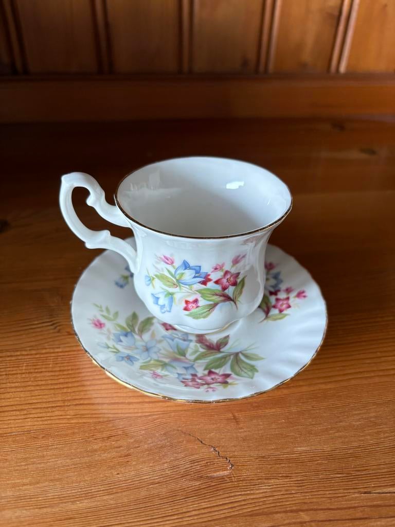 Royal Albert Bourton kop en schotel - Summertime Series, Ophalen