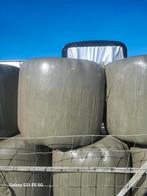 Midibaaltjes, Dieren en Toebehoren, Ophalen, Vee