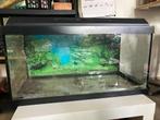 Aquarium, Dieren en Toebehoren, Vissen | Aquaria en Toebehoren, Ophalen, Gebruikt, Leeg aquarium