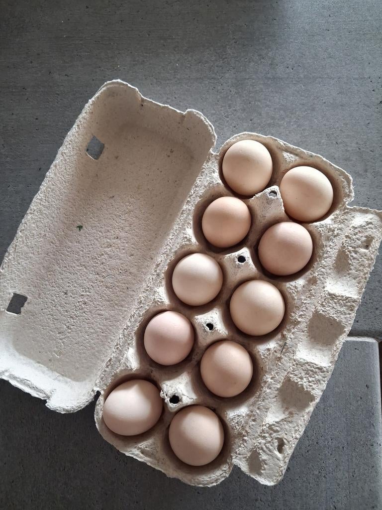 Zijdehoen broedeieren, Ophalen of Verzenden, Taarten, Bakvorm