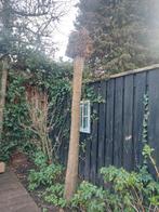 1 bolcatalpa, Ophalen, Volle zon, Overige soorten