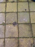 Stoeptegels 30 x 30 cm min. 165 stuks, Tuin en Terras, Tegels en Klinkers, Ophalen, Gebruikt, Beton, Terrastegels