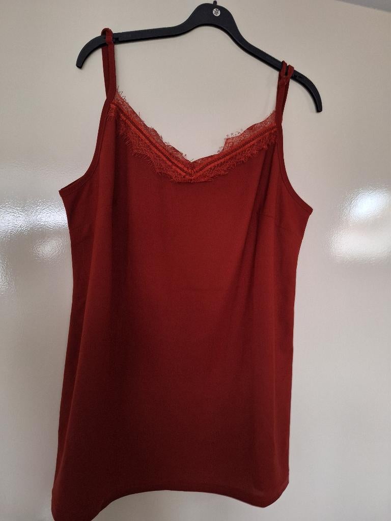 Topjes rond mt 46 NIET gedragen., Kleding | Dames, Tops, Overige kleuren, Maat 46/48 (XL) of groter, Nieuw, Ophalen of Verzenden