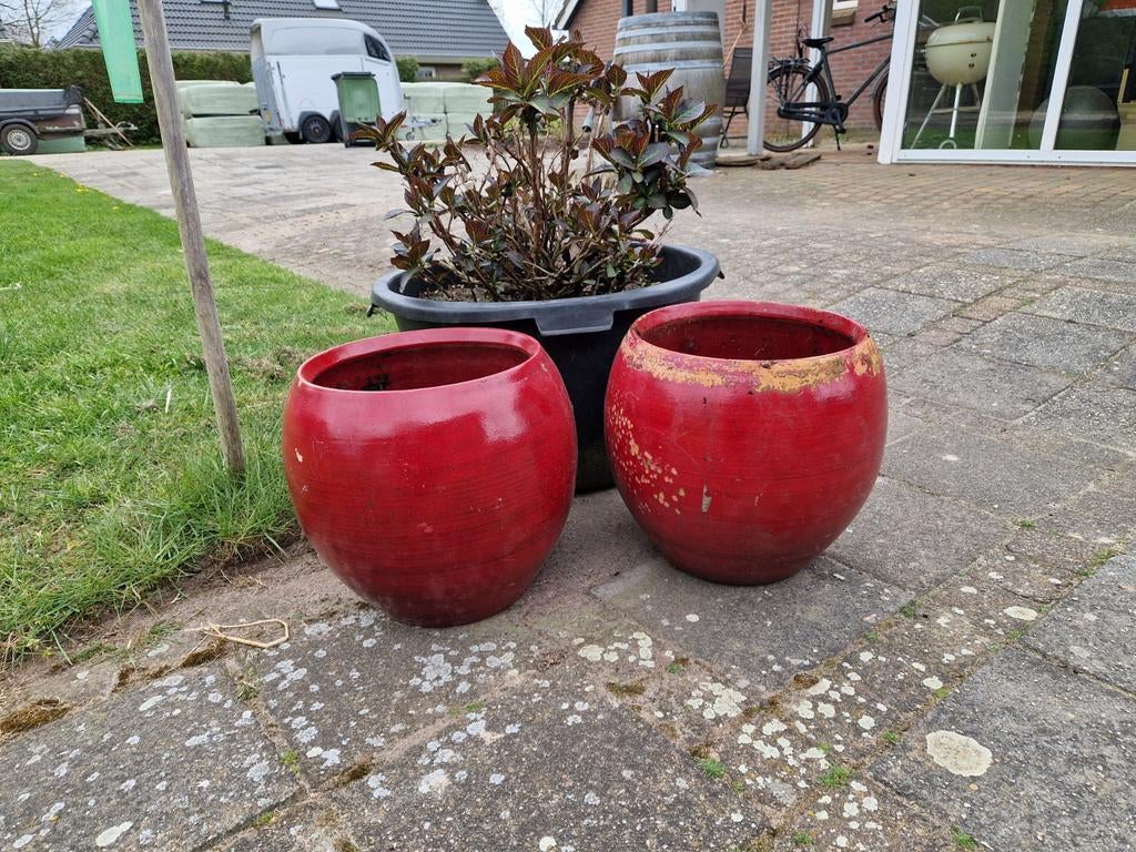 Gratis: Twee rode bloempotten, Gebruikt, Rond, Minder dan 40 cm, Ophalen