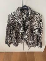 Airfield blazer, Kleding | Dames, Ophalen of Verzenden, Zo goed als nieuw, Maat 46/48 (XL) of groter