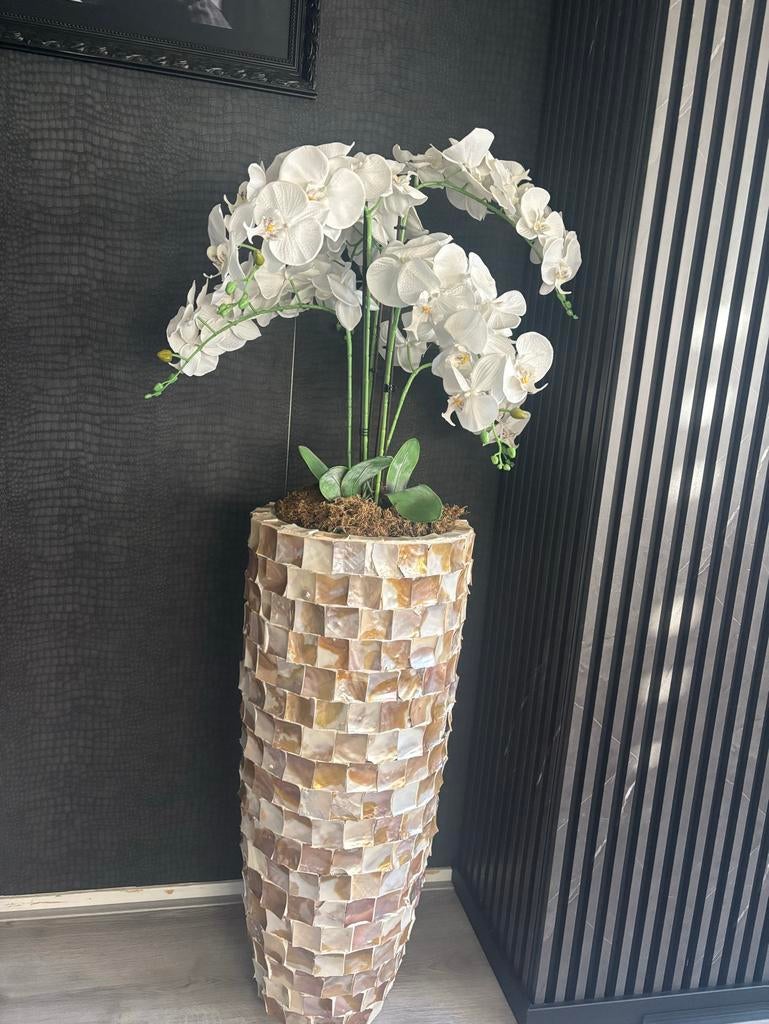 Vaas met schelpen, Huis en Inrichting, Woonaccessoires | Vazen, Overige materialen, Gebruikt, Overige kleuren, Ophalen of Verzenden