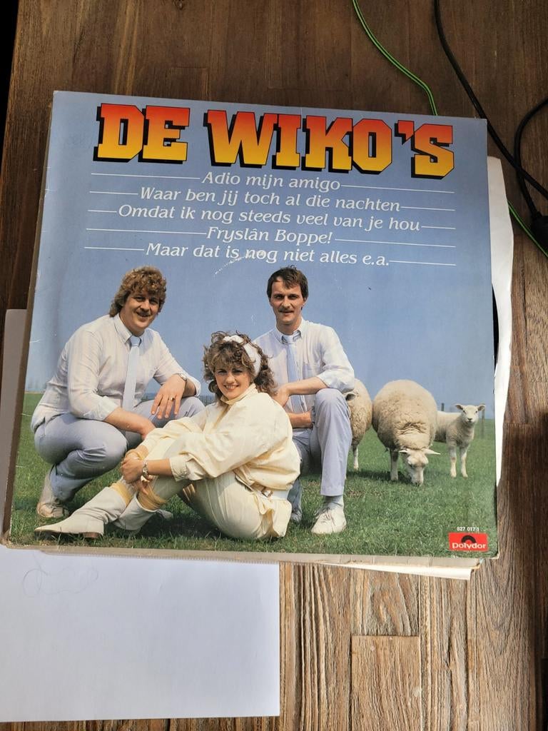 Lp de wiko's, Ophalen of Verzenden, Zo goed als nieuw, Overige formaten, Levenslied of Smartlap