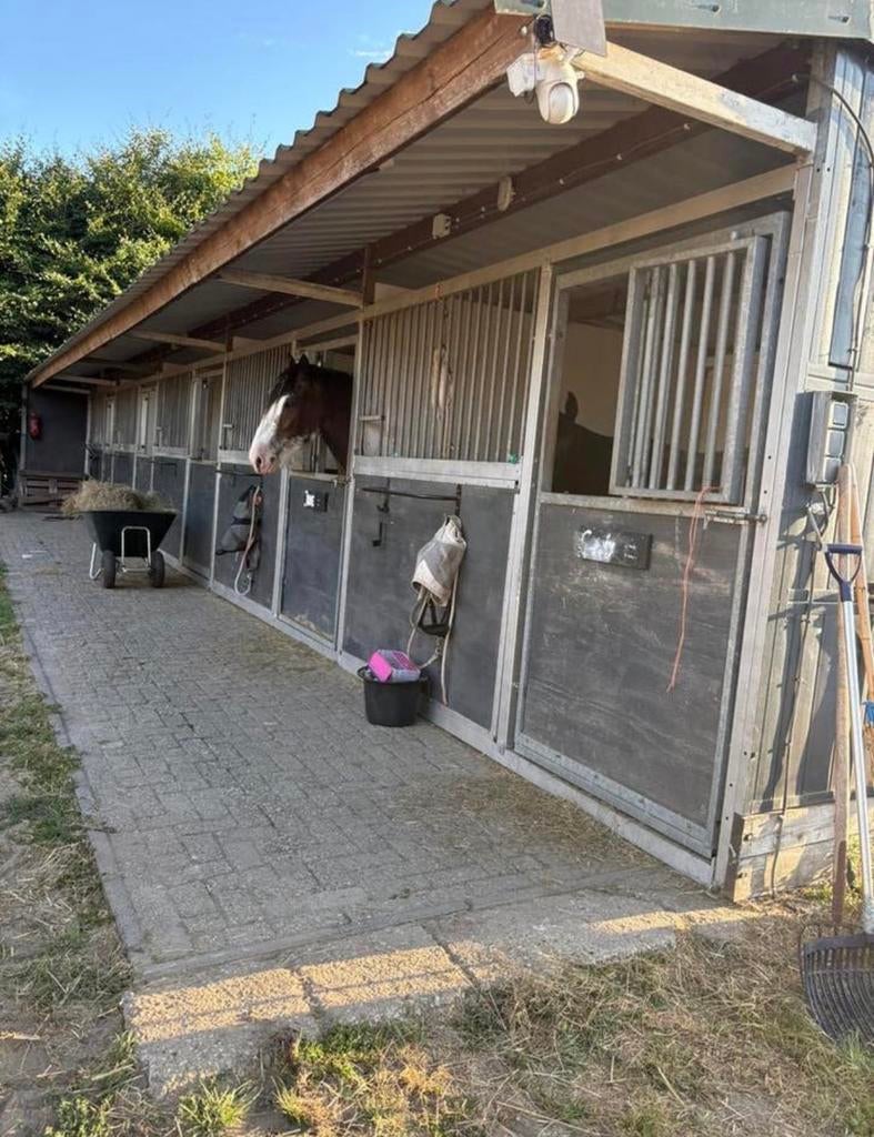 Unit van 5 ruime 'Doe het zelf' buiten stallen met weidegang, Dieren en Toebehoren, Stalling en Weidegang, Stalling, 4 paarden of pony's of meer