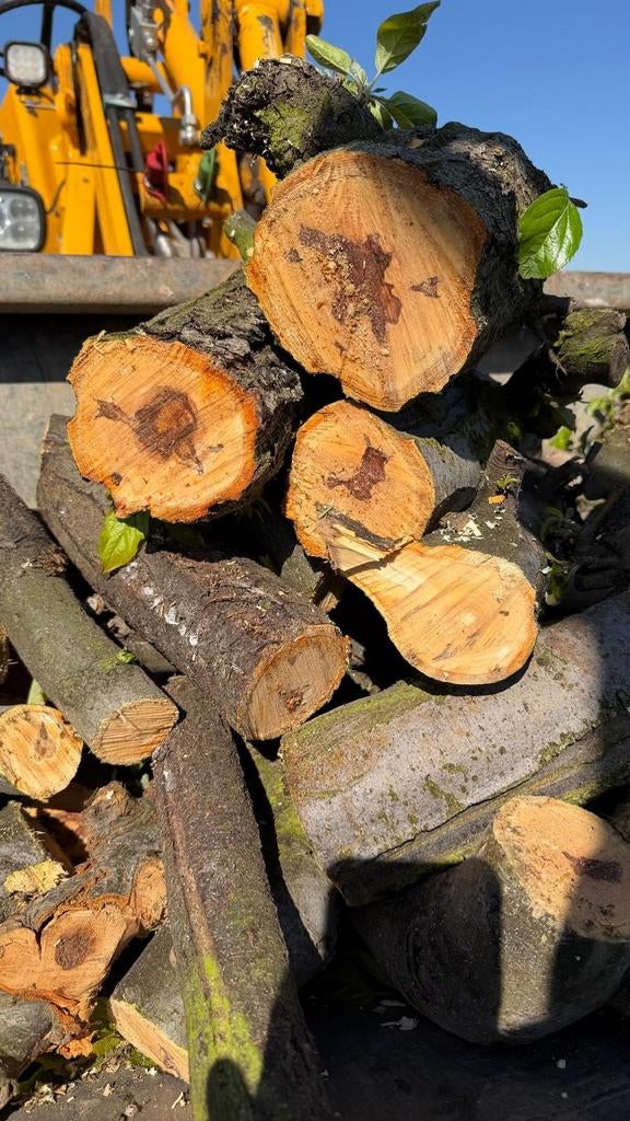 Haardhout brandhout appelhout vers!, Minder dan 3 m³, Ophalen of Verzenden