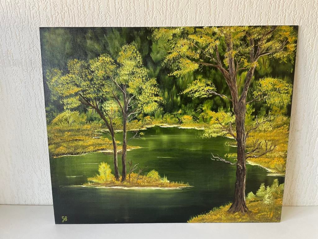 Schilderij De Smaragdgroene Wateren Gerda Slingerland, Antiek en Kunst, Ophalen