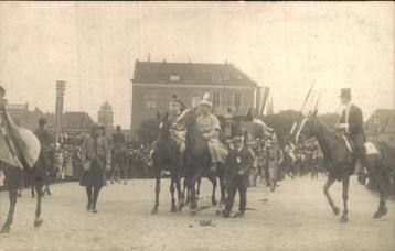 Delft - Fotokaart - Paarden beschikbaar voor biedingen