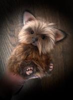 Yorkshire Terrier hond teddybeer beer teddy beweegbaar pop, Verzenden, Nieuw, Stoffen beer, Overige merken