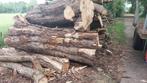 Haardhout,brandhout,stamhout, Tuin en Terras, Haardhout, Minder dan 3 m³, Ophalen, Overige houtsoorten, Blokken