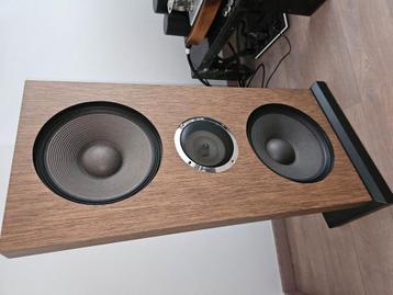 Zeer mooie semi actieve zelfbouw openbaffle met Lowther pm2 beschikbaar voor biedingen